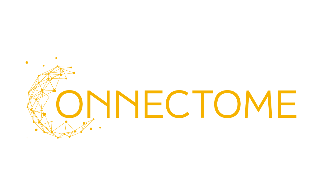 CONNECTOME
